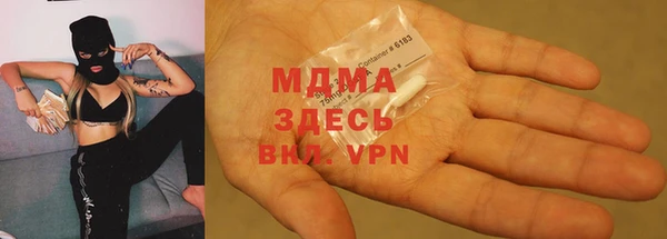 стаф Алзамай